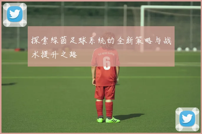 探索绿茵足球系统的全新策略与战术提升之路
