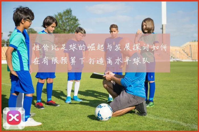 性价比足球的崛起与发展探讨如何在有限预算下打造高水平球队